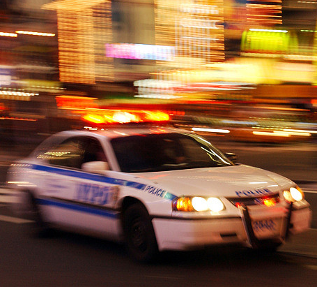 police training simulator